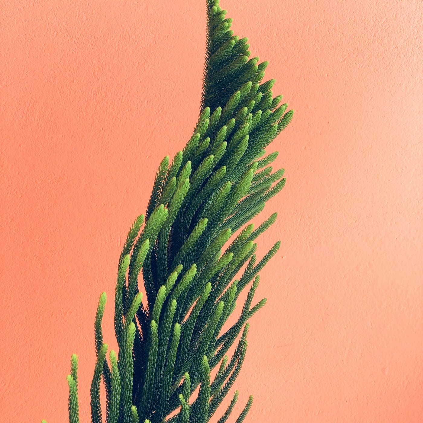 Crafting compelling visual narratives through artistic expression